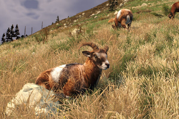 Way of the Hunter - Wild Europe (Screenshot 04)